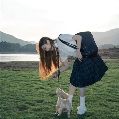 归来恰逢花开时